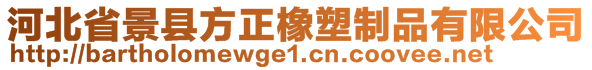 河北省景縣方正橡塑制品有限公司