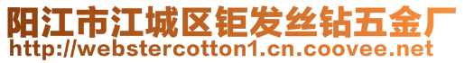 陽江市江城區(qū)鉅發(fā)絲鉆五金廠