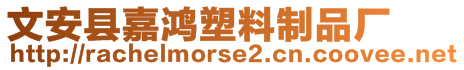 文安縣嘉鴻塑料制品廠