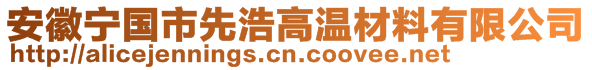 安徽宁国市先浩高温材料有限公司