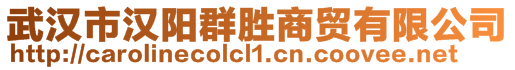 武漢市漢陽群勝商貿有限公司