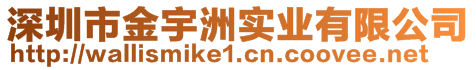 深圳市金宇洲實(shí)業(yè)有限公司