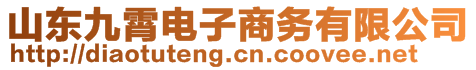 山東九霄電子商務(wù)有限公司