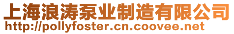 上海浪濤泵業(yè)制造有限公司