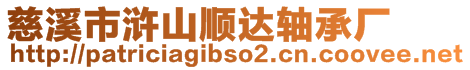 慈溪市滸山順達軸承廠