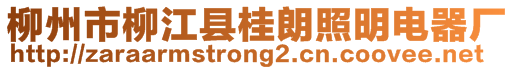 柳州市柳江县桂朗照明电器厂