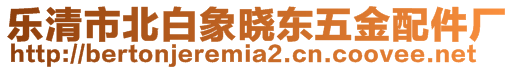 樂清市北白象曉東五金配件廠