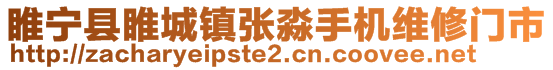 睢寧縣睢城鎮(zhèn)張淼手機(jī)維修門市