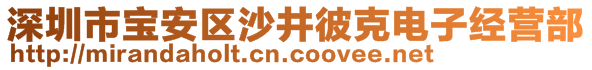 深圳市宝安区沙井彼克电子经营部