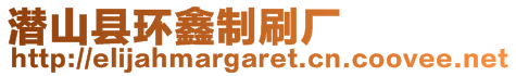 潛山縣環鑫制刷廠