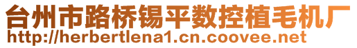 臺(tái)州市路橋錫平數(shù)控植毛機(jī)廠