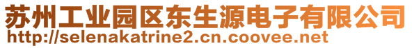 蘇州工業(yè)園區(qū)東生源電子有限公司