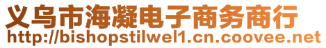 義烏市海凝電子商務(wù)商行