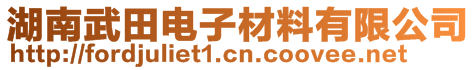 湖南武田電子材料有限公司