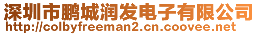 深圳市鵬城潤發(fā)電子有限公司