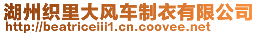 湖州織里大風(fēng)車制衣有限公司