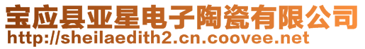 宝应县亚星电子陶瓷有限公司