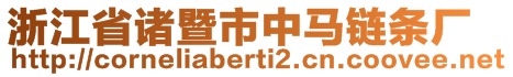 浙江省諸暨市中馬鏈條廠