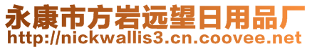 永康市方岩远望日用品厂