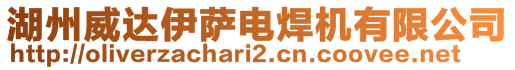 湖州威達伊薩電焊機有限公司