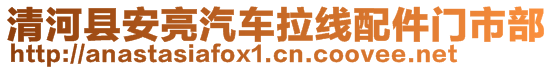 清河縣安亮汽車拉線配件門市部