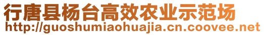 行唐縣楊臺高效農(nóng)業(yè)示范場