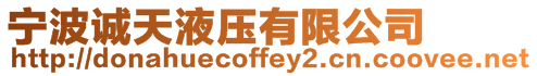 寧波誠天液壓有限公司