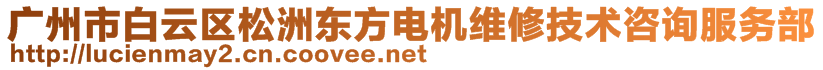 廣州市白云區(qū)松洲東方電機(jī)維修技術(shù)咨詢服務(wù)部