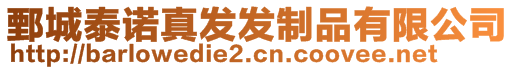 鄄城泰諾真發(fā)發(fā)制品有限公司