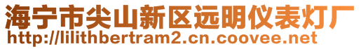 海寧市尖山新區(qū)遠(yuǎn)明儀表燈廠