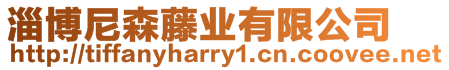 淄博尼森藤業有限公司