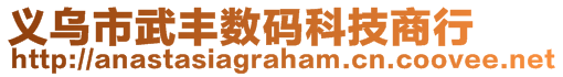 義烏市武豐數(shù)碼科技商行