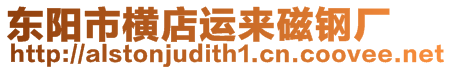 東陽市橫店運(yùn)來磁鋼廠