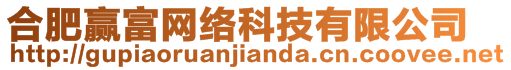 合肥贏富網絡科技有限公司