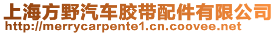 上海方野汽車膠帶配件有限公司