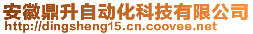 安徽鼎升自動化科技有限公司