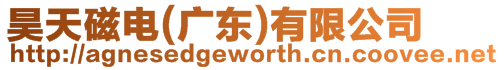 昊天磁電(廣東)有限公司