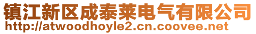 镇江新区成泰莱电气有限公司