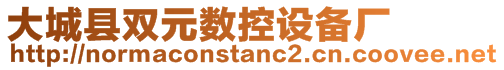 大城縣雙元數(shù)控設(shè)備廠