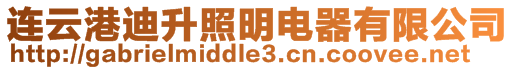 連云港迪升照明電器有限公司