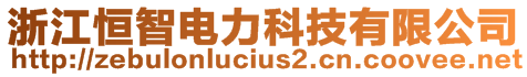 浙江恒智電力科技有限公司