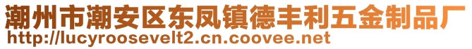 潮州市潮安區(qū)東鳳鎮(zhèn)德豐利五金制品廠