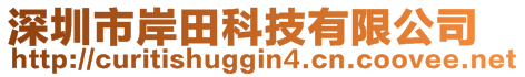 深圳市岸田科技有限公司