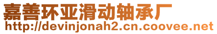 嘉善環(huán)亞滑動軸承廠