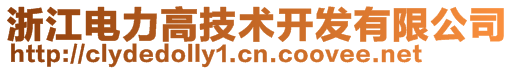 浙江電力高技術開發有限公司