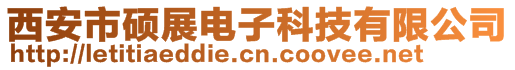 西安市硕展电子科技有限公司