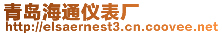 青島海通儀表廠(chǎng)