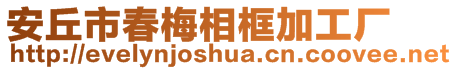 安丘市春梅相框加工廠