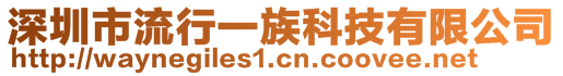 深圳市流行一族科技有限公司