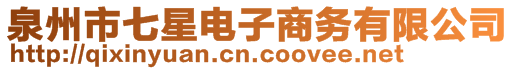 泉州市七星電子商務有限公司